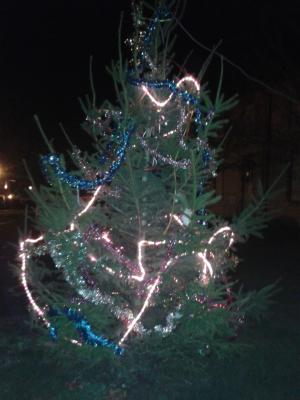 Le sapin devant l'école